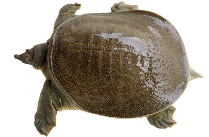 火狐电竞官网_广东惠州借“外脑”发展智慧旅游(图4) 火狐电竞官网