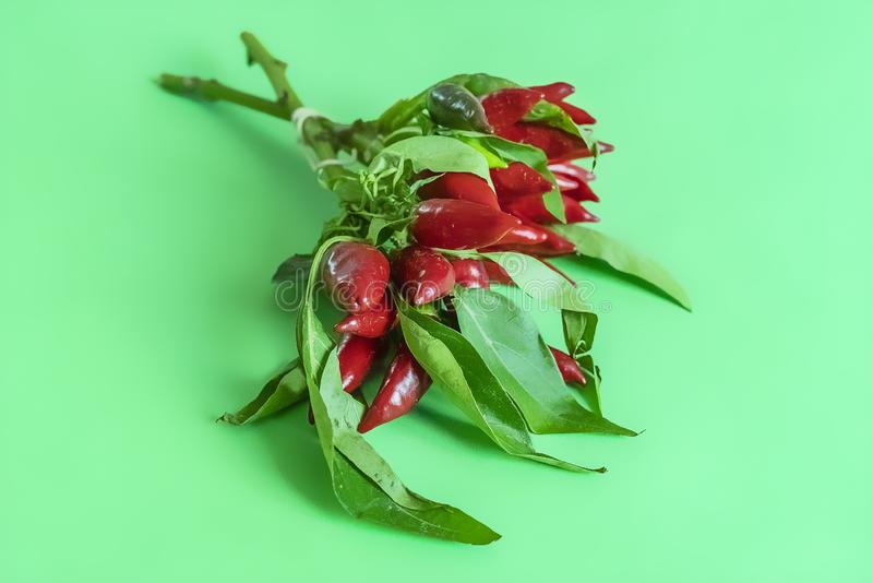 火狐电竞官网_广东惠州借“外脑”发展智慧旅游(图1) 火狐电竞官网