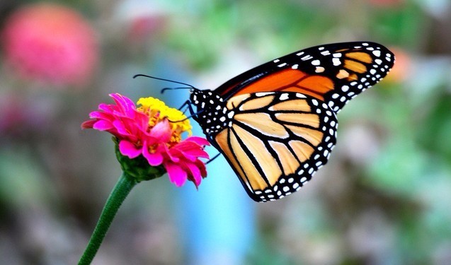 火狐电竞:第五季《我是演说家》全国海选浙江赛区新闻发布 演讲成就人生(图1) 火狐电竞官网