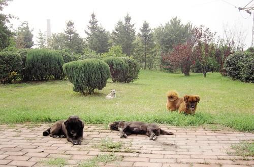 严陵社区开展六月主题党日活动‘火狐电竞官网’(图2) 火狐电竞