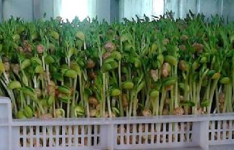 “火狐电竞官网”
南宁市12345政府服务热线开设企业服务专席(图4) 火狐电竞