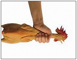 10个妈妈就有8个胸部变形下垂,女人该如何拯救自己的胸部_火狐电竞官网(图1) 火狐电竞