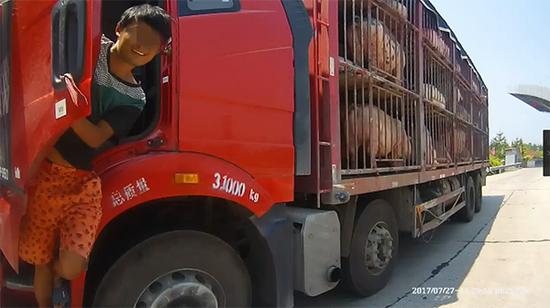 CF手游漫画 王者飞行棋回答错误的下场-火狐电竞平台(图3) 火狐电竞平台