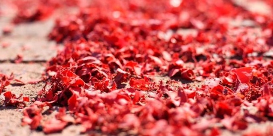 【整形历史】荣获“中国整形与美容医师奖”的广州南珠医疗整形-火狐电竞平台(图3) 火狐电竞平台