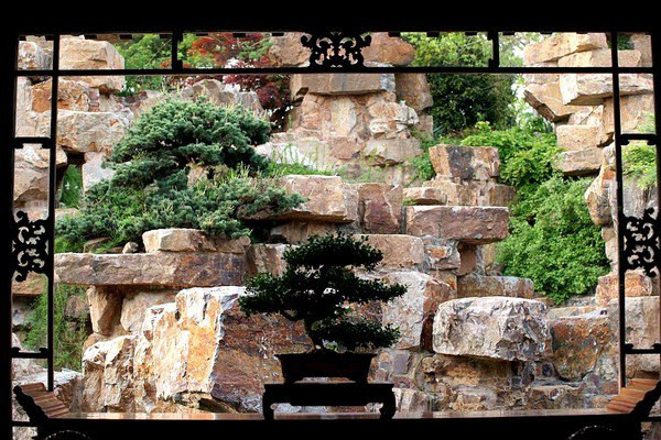 沧滩社区假日学校开课啦!_火狐电竞官网(图2) 火狐电竞官网