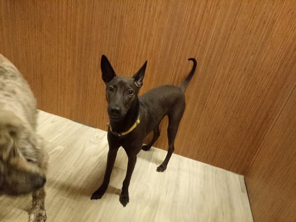 火狐电竞平台_四川理县多措并举治理地灾隐患点 确保汛期安全(图2) 火狐电竞官网