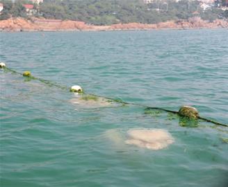 赛车菜鸟来袭 莫小奇重新出发‘火狐电竞’(图2) 火狐电竞