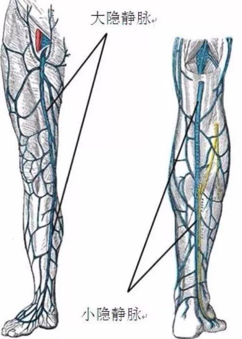 “火狐电竞平台”明珠社区:病毒无情 党员有爱(图3) 火狐电竞
