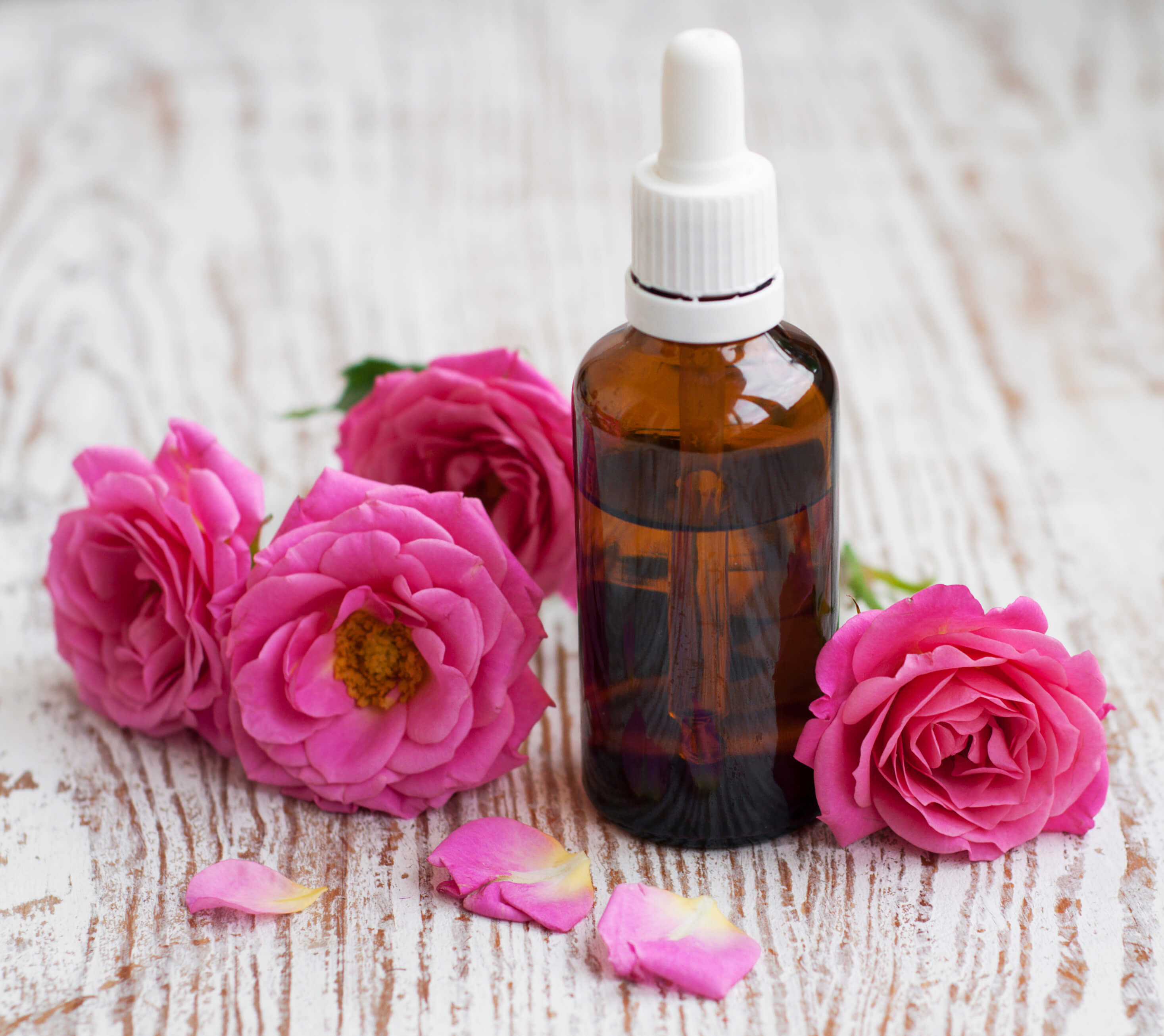 火狐电竞-航班管家在798开了一家航空公司?飞机上还能免费抓娃娃!(图2) 火狐电竞