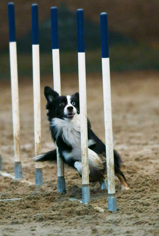 “火狐电竞”借贷整容却“半途而废”逾期贷款利息惊人(图3) 火狐电竞官网