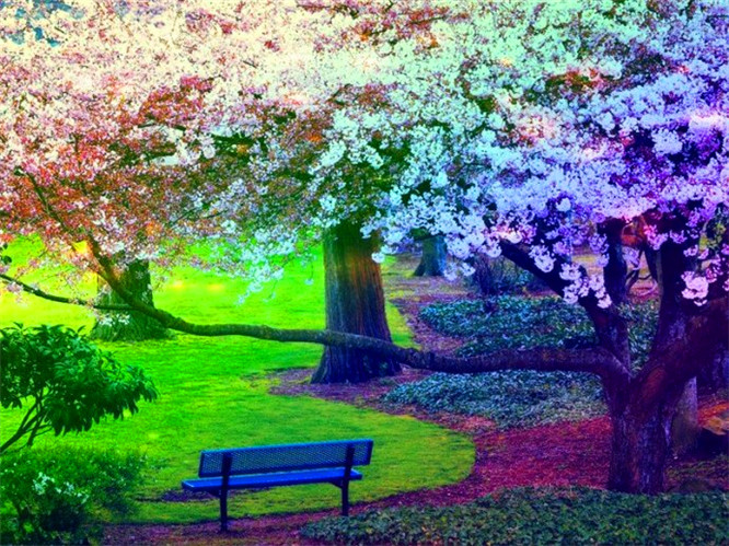 杜江担任北京市消防宣传大使 用演员力量传递社会力量-火狐电竞(图1) 火狐电竞官网