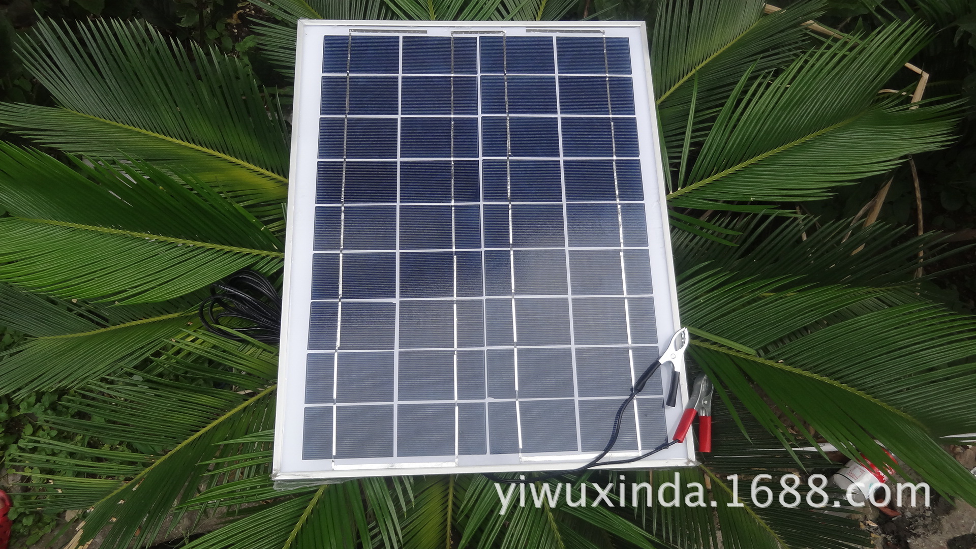 “火狐电竞”新时代开启新征程 新思想引领新沧滩(图3) 火狐电竞平台