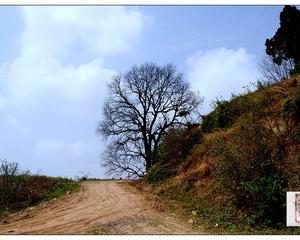 易东菊-“艺术光影化”|火狐电竞平台(图1) 火狐电竞官网