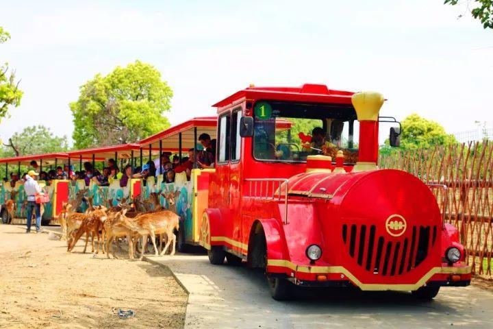 浙江苍南书记谈“美丽南大门”:繁荣、形象、开放之门【火狐电竞官网】(图3) 火狐电竞官网