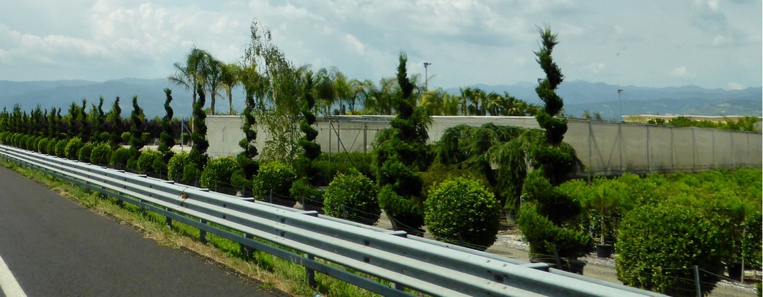 王子子出席公益中国 获颁慈善形象大使奖【火狐电竞平台】(图2) 火狐电竞官网