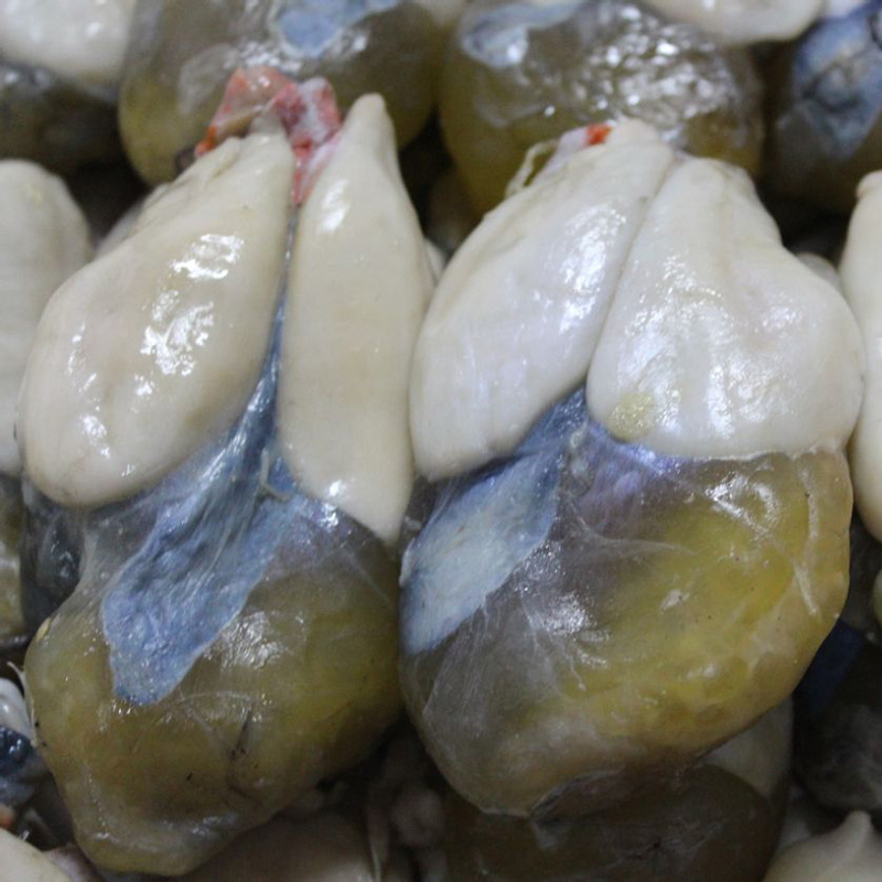 火狐电竞平台:“福建养蜂第一村”:甜蜜“飞”至欧美多国(图1) 火狐电竞