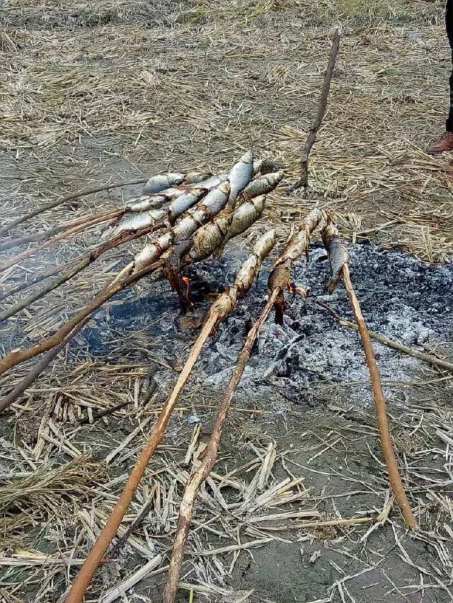 火狐电竞