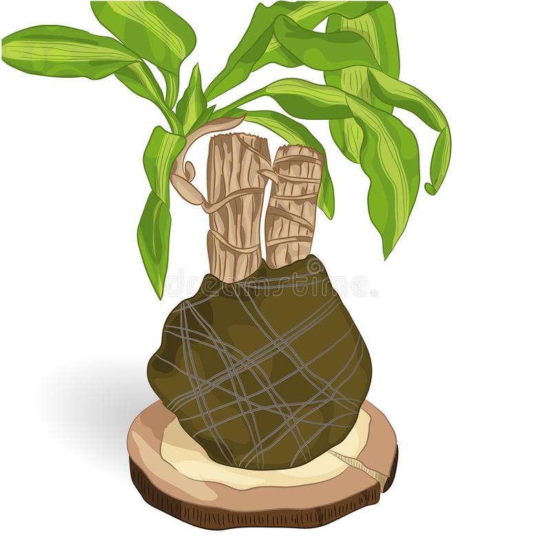 火狐电竞