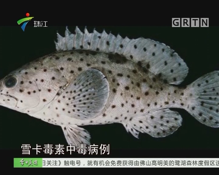 火狐电竞平台